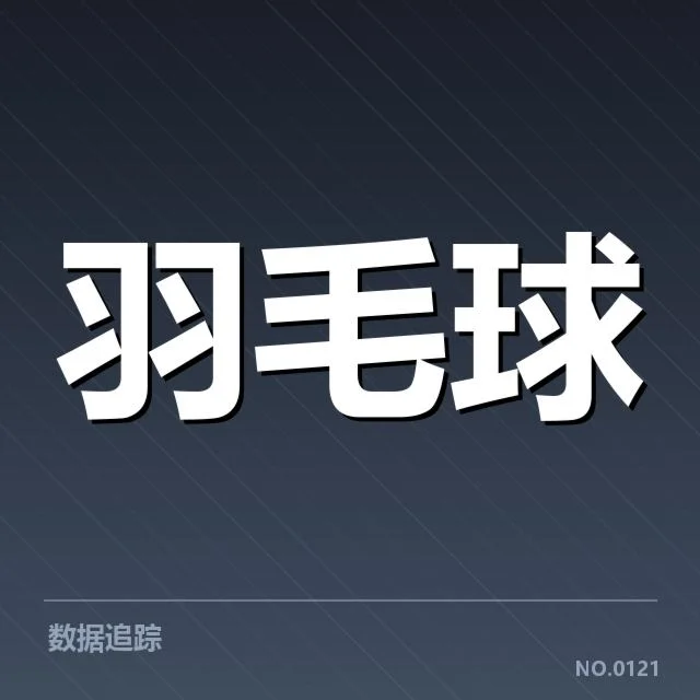 当前确认的主要竞争者与赛事表现